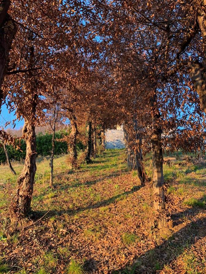 Le Lanterne Bed & Breakfast Villa d'Alme ภายนอก รูปภาพ