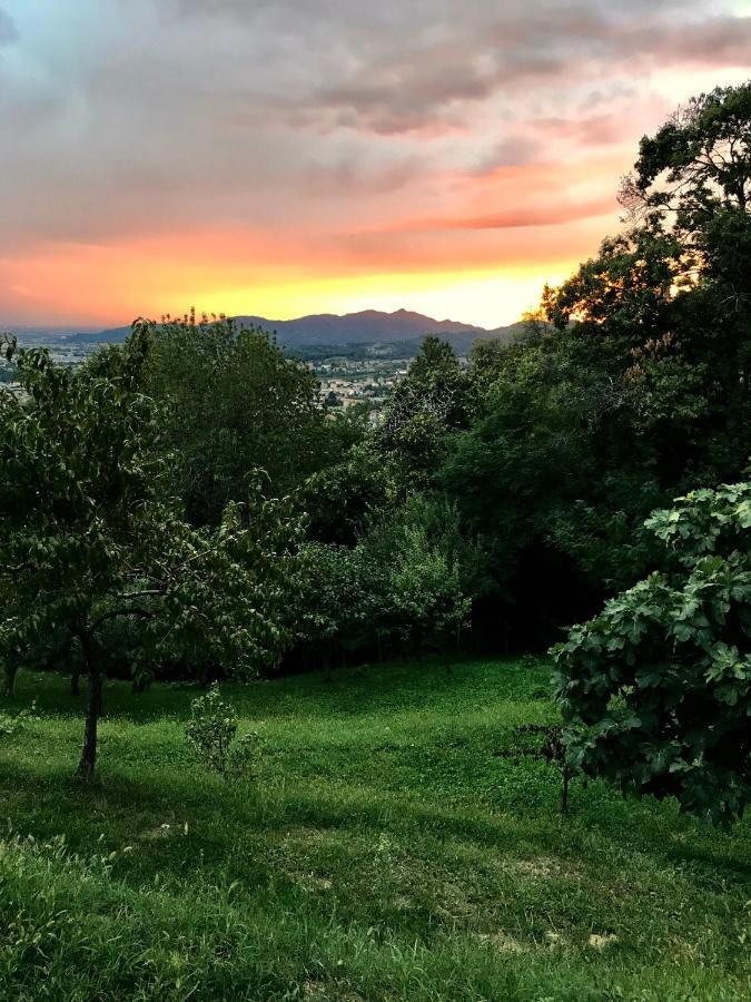 Le Lanterne Bed & Breakfast Villa d'Alme ภายนอก รูปภาพ