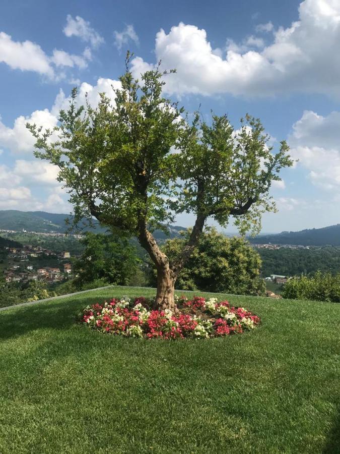 Le Lanterne Bed & Breakfast Villa d'Alme ภายนอก รูปภาพ