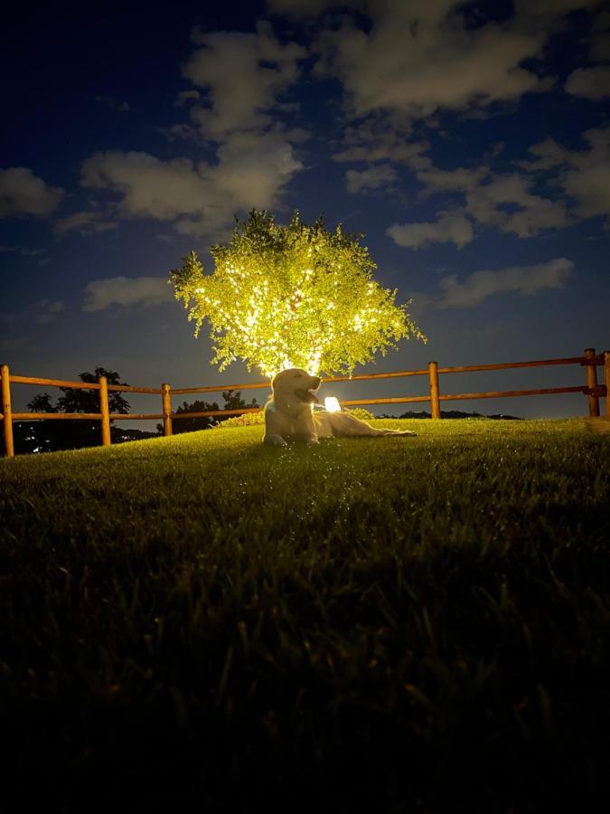 Le Lanterne Bed & Breakfast Villa d'Alme ภายนอก รูปภาพ